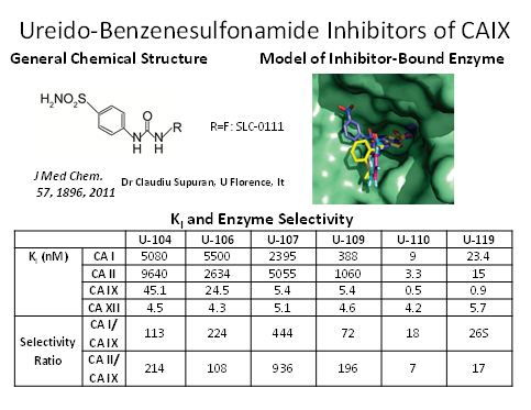 Ureido-Benzenesulfonamide Inhibitors of CAIX