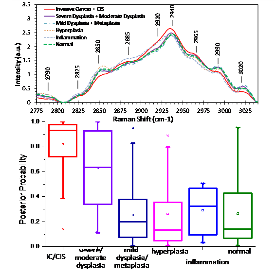 Raman Spectroscopy and Multimodality Endoscopy Imaging 3