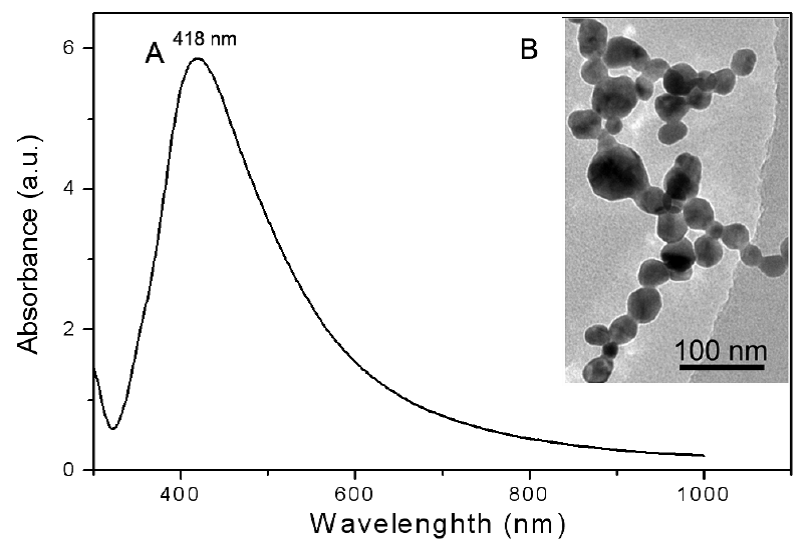 Raman Spectroscopy and Endomicroscopy Imaging 2