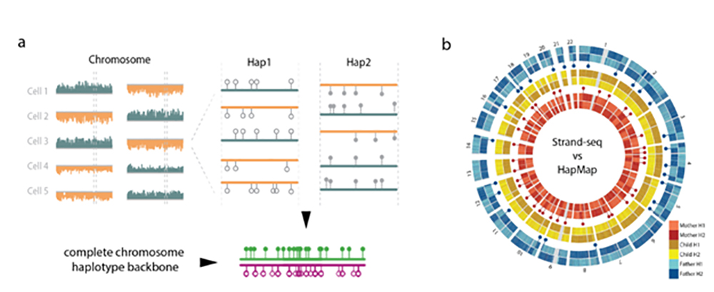 Fig 6